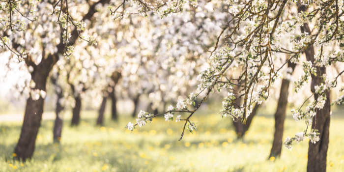 WHY SHOULD YOU CARE ABOUT INHERITANCE TAX | John Lamb Hill Oldridge WHY SHOULD YOU CARE ABOUT INHERITANCE TAX | John Lamb Hill Oldridge
